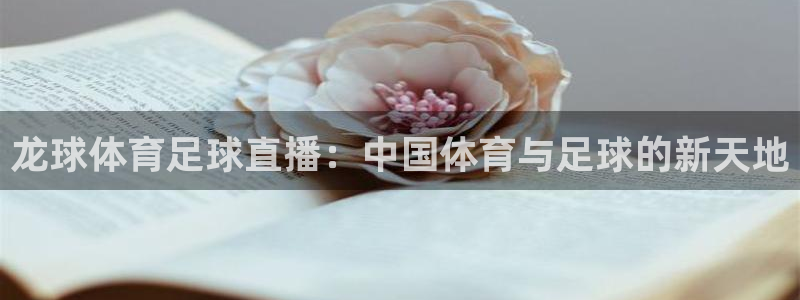 龙球体育足球直播：中国体育与足球的新天地