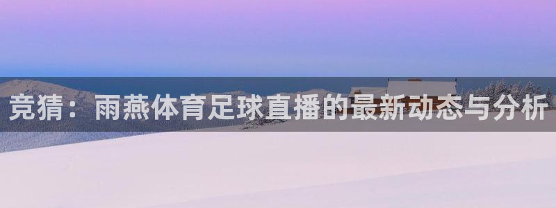 竞猜：雨燕体育足球直播的最新动态与分析