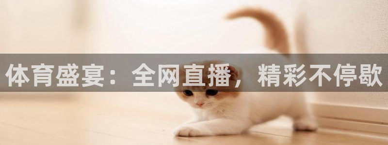 体育盛宴：全网直播，精彩不停歇