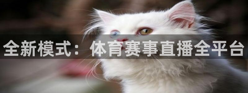 全新模式：体育赛事直播全平台