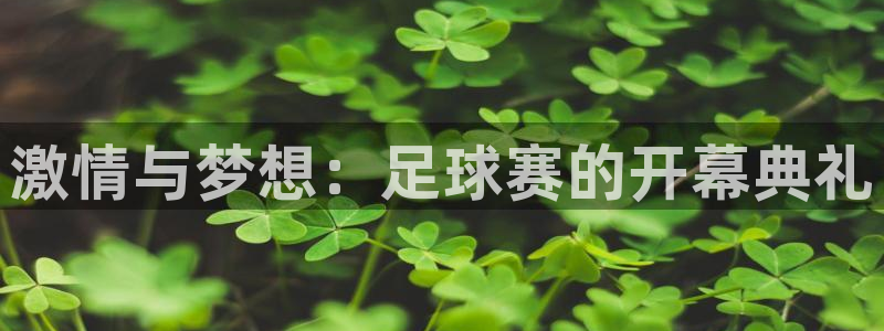 激情与梦想：足球赛的开幕典礼