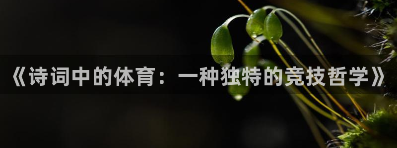 《诗词中的体育：一种独特的竞技哲学》