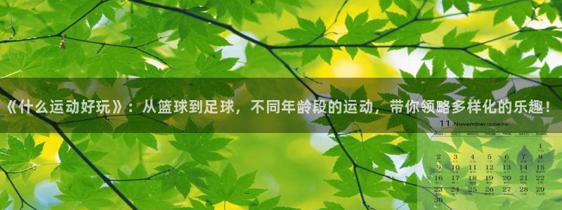 《什么运动好玩》：从篮球到足球，不同年龄段的运动，带你领略多样化的乐趣！