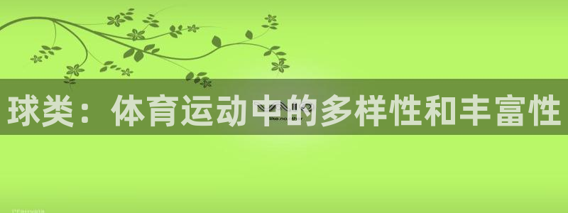 球类：体育运动中的多样性和丰富性