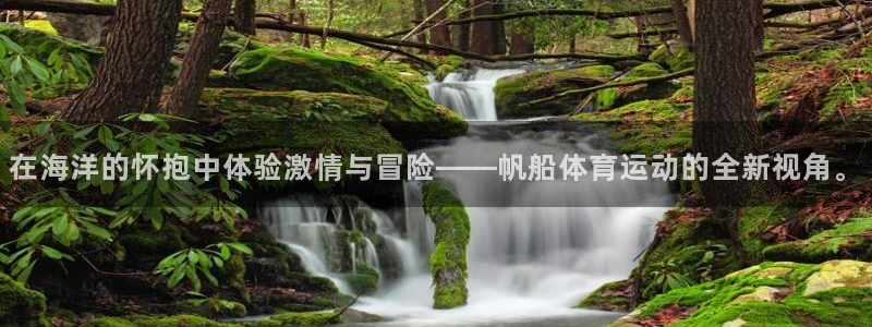 在海洋的怀抱中体验激情与冒险——帆船体育运动的全新视角。