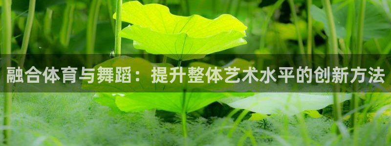 融合体育与舞蹈：提升整体艺术水平的创新方法