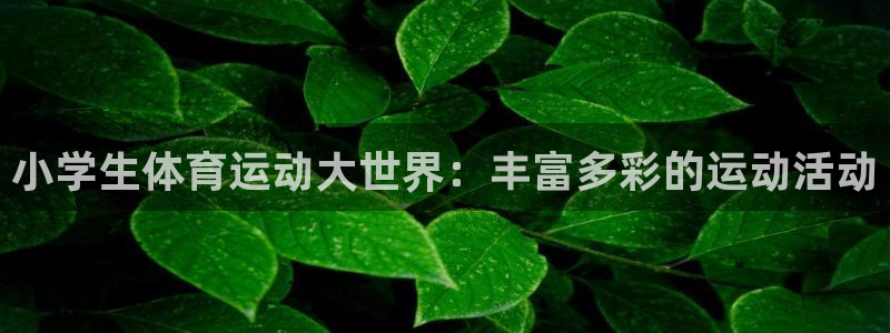 小学生体育运动大世界：丰富多彩的运动活动