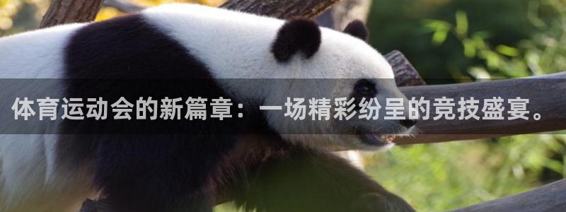 体育运动会的新篇章：一场精彩纷呈的竞技盛宴。
