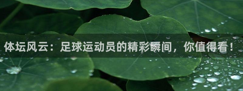 体坛风云：足球运动员的精彩瞬间，你值得看！