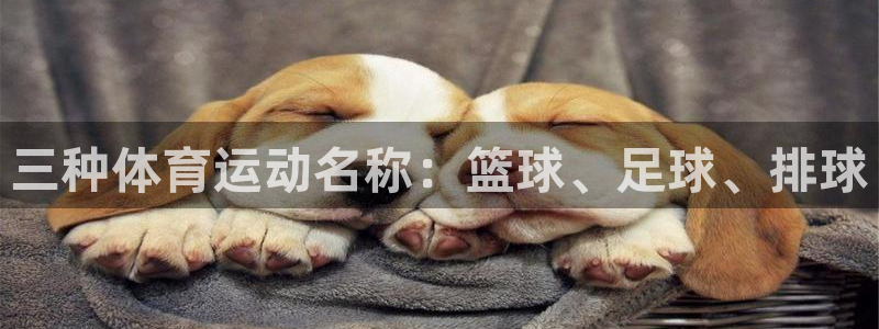 三种体育运动名称：篮球、足球、排球
