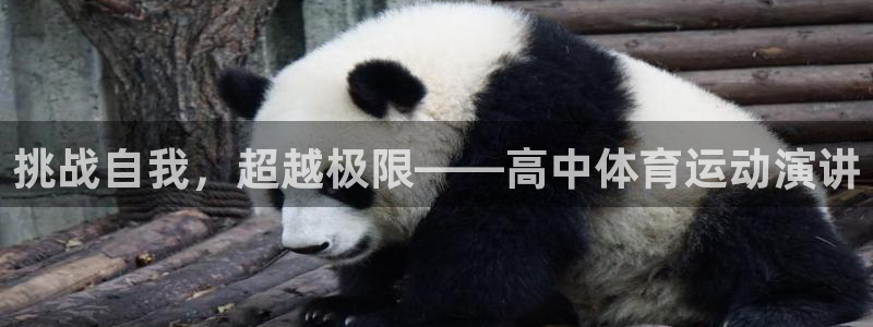 挑战自我，超越极限——高中体育运动演讲