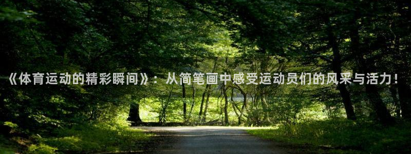 《体育运动的精彩瞬间》：从简笔画中感受运动员们的风采与活力！