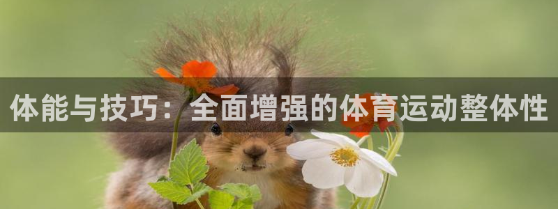体能与技巧：全面增强的体育运动整体性