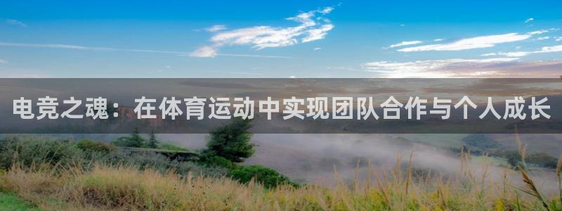 电竞之魂：在体育运动中实现团队合作与个人成长