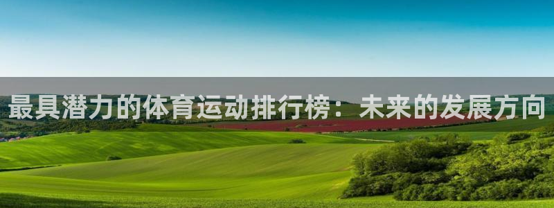 最具潜力的体育运动排行榜：未来的发展方向