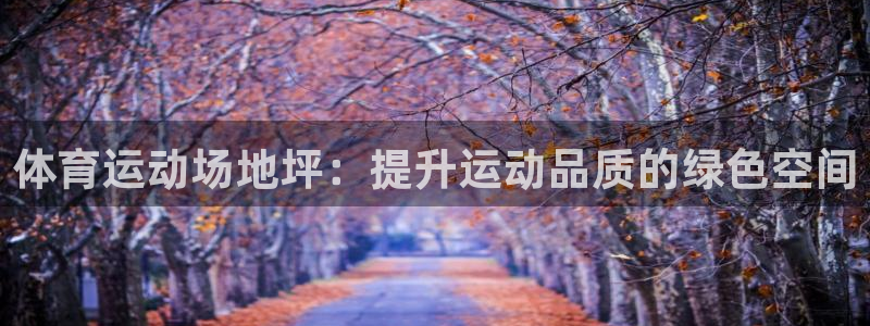 体育运动场地坪：提升运动品质的绿色空间