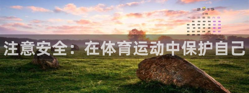 注意安全：在体育运动中保护自己