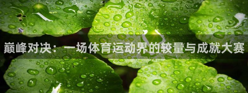 巅峰对决：一场体育运动界的较量与成就大赛