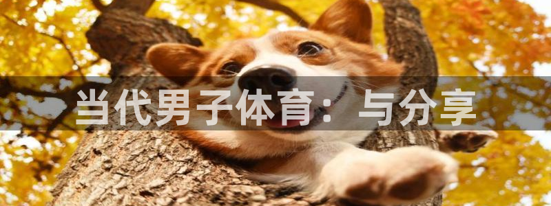 当代男子体育：与分享