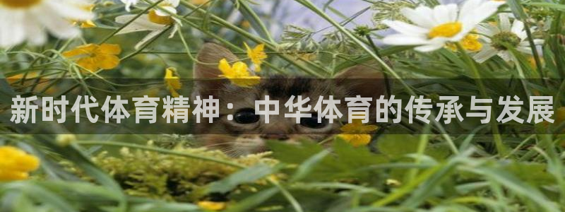 新时代体育精神：中华体育的传承与发展