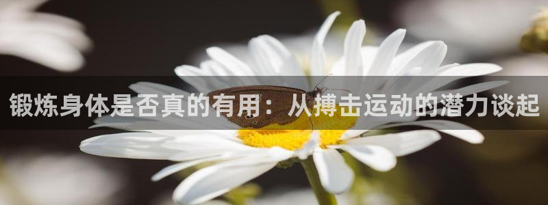 锻炼身体是否真的有用：从搏击运动的潜力谈起