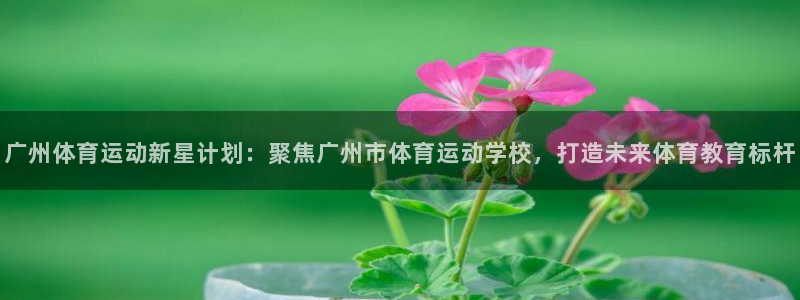 广州体育运动新星计划：聚焦广州市体育运动学校，打造未来体育教育标杆