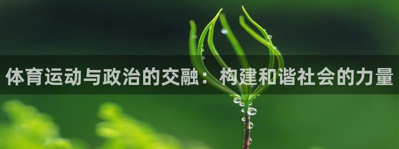 体育运动与政治的交融：构建和谐社会的力量