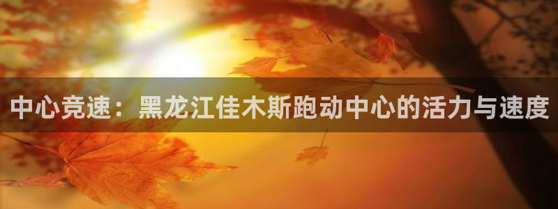 中心竞速：黑龙江佳木斯跑动中心的活力与速度