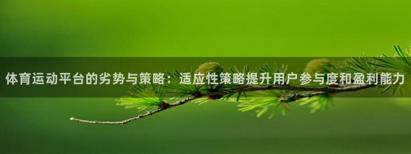 体育运动平台的劣势与策略：适应性策略提升用户参与度和盈利能力