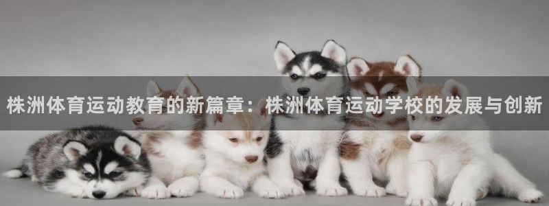 株洲体育运动教育的新篇章：株洲体育运动学校的发展与创新