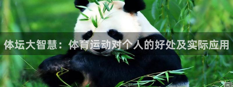 体坛大智慧：体育运动对个人的好处及实际应用