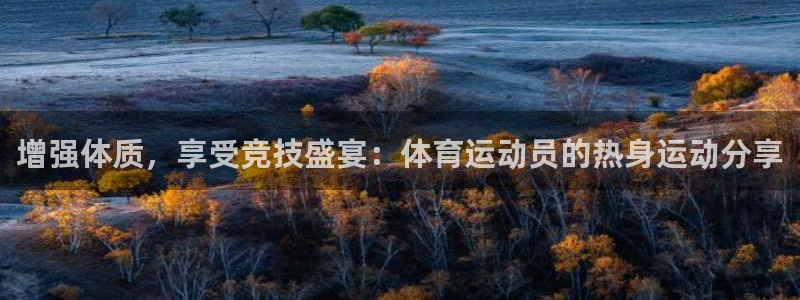 增强体质，享受竞技盛宴：体育运动员的热身运动分享