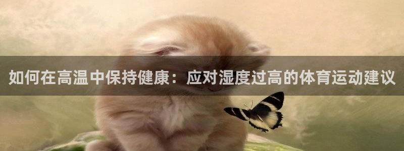 如何在高温中保持健康：应对湿度过高的体育运动建议