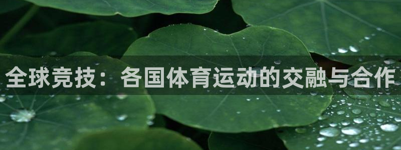 全球竞技：各国体育运动的交融与合作