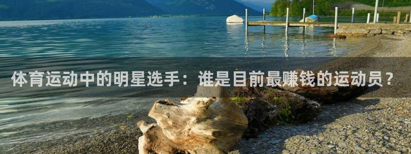 体育运动中的明星选手：谁是目前最赚钱的运动员？