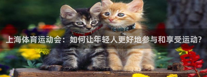 上海体育运动会：如何让年轻人更好地参与和享受运动?