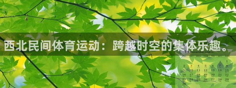 西北民间体育运动：跨越时空的集体乐趣。