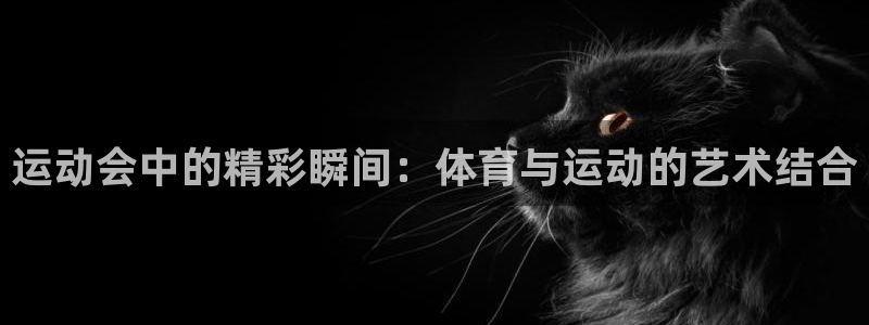 运动会中的精彩瞬间：体育与运动的艺术结合