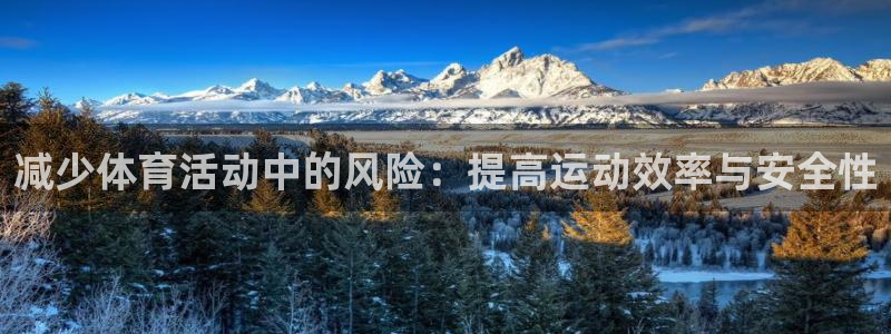 减少体育活动中的风险：提高运动效率与安全性