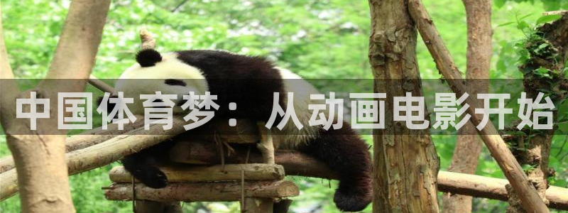 中国体育梦：从动画电影开始