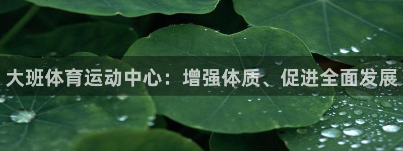 大班体育运动中心：增强体质、促进全面发展