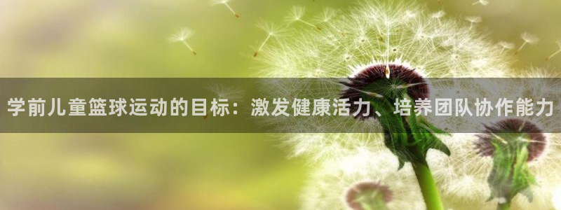 学前儿童篮球运动的目标：激发健康活力、培养团队协作能力