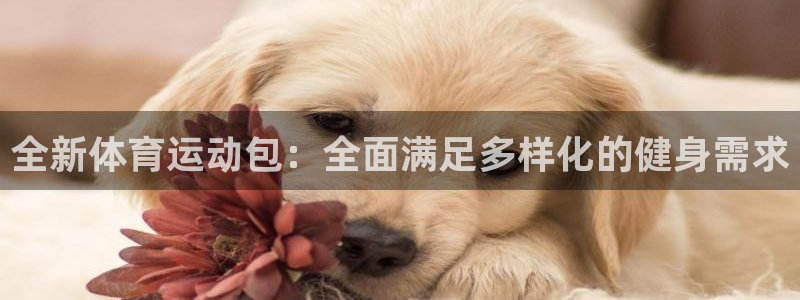 全新体育运动包：全面满足多样化的健身需求