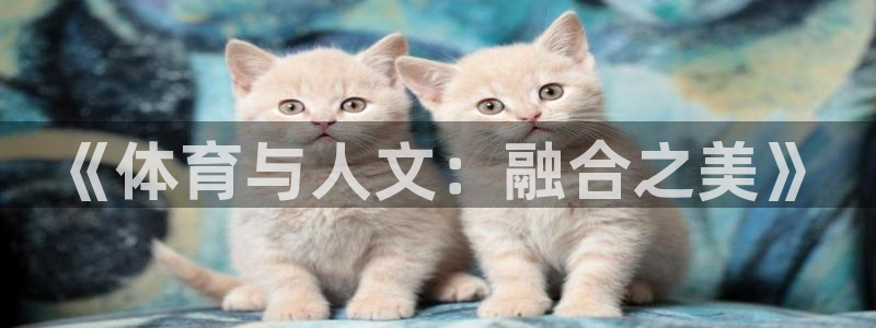 《体育与人文：融合之美》